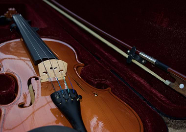 Violin