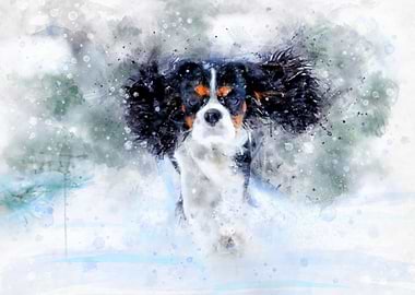 Cavalier winter watercolor