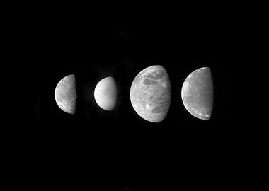 Jupiters Family Portrait