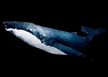 Whale