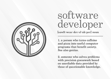 Funny Software Developer