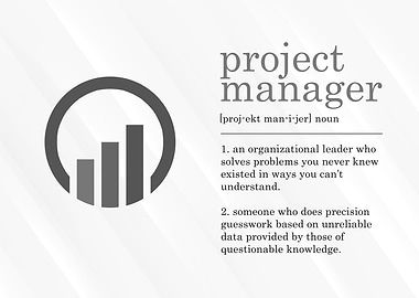 Project Manager Definition
