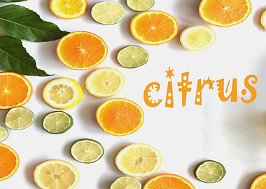 citrus