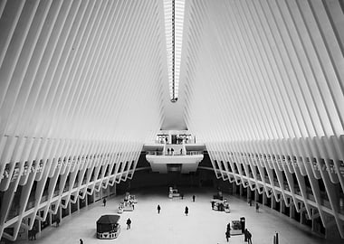 New York City Monochrome