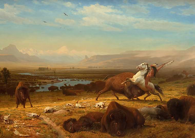 The Last Of The Buffalo