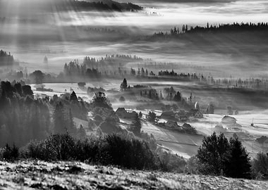 B&W, mountains,autumn,fog