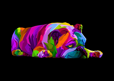 Colorful English bulldog