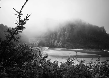 Oregon Coast Landscape