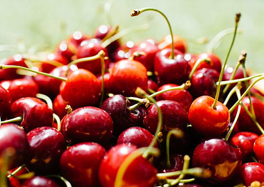 Cherries