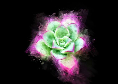 succulent watercolor