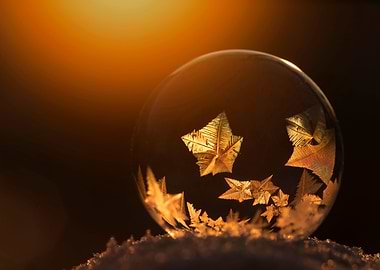 Soap bubble frozen