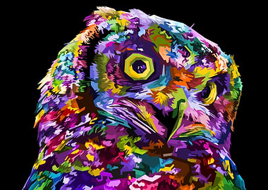 Colorful owl on pop art
