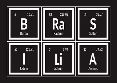 Elements of Brasilia