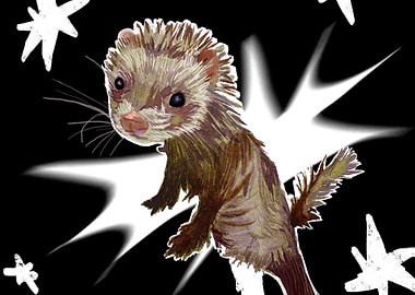 Fuzzy Ferret