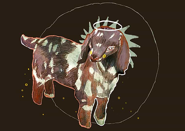 Cute Angel Baby Goat