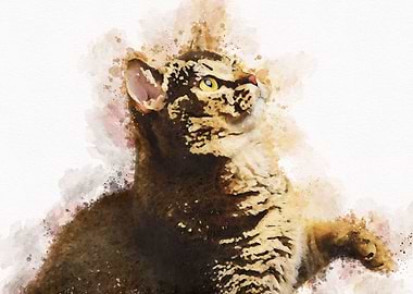Cute Cat Watercolor