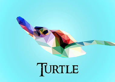 Turtle