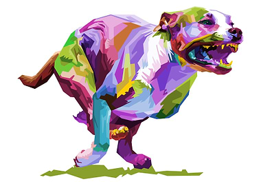 Colorful dog running