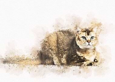 Cute Cat Watercolor