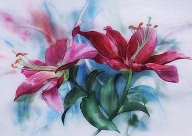 watercolor lilies