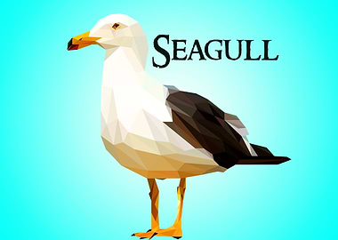seagull