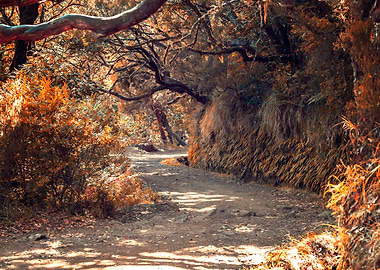 Madeira, Portugal island