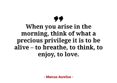 Marcus Aurelius quotes