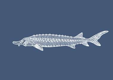 Sturgeon Fish Blue Artwork