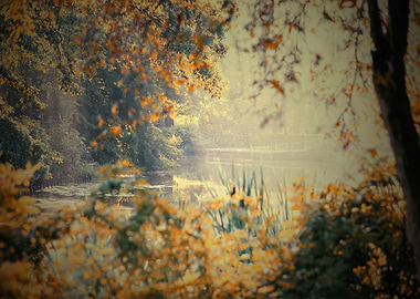 Autumn foggy lake in park