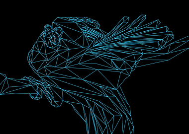 Bird of Paradise Line Art