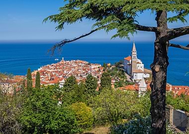 Piran Sea Town In Slovenia