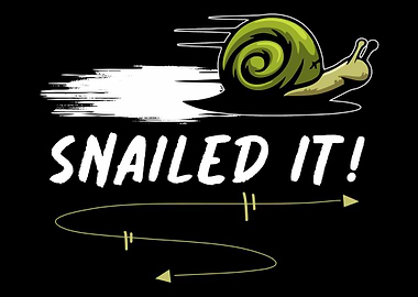 Snail Pun Slow Fast
