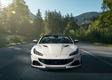 ferrari portofino