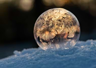 Golden frozen bubble