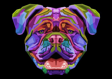 Colorful british bulldog