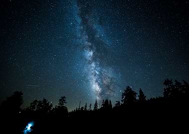 Milky Way and Black Forest