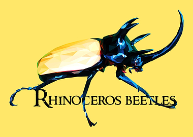 Rhinoceros Beetle