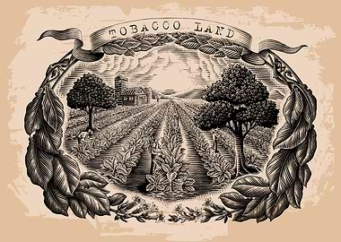 Tobacco land