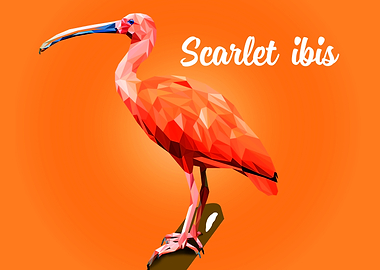 Scarlet Ibis
