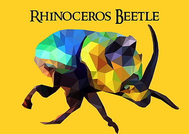 Rhinoceros Beetle