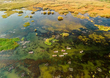 Aerial view of Lagoon