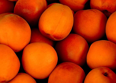 apricots