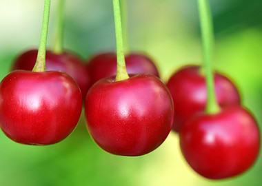 cherries