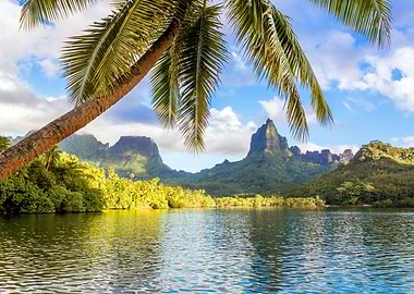 Opunohu bay Polynesia