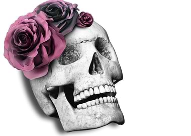 Skull on white background