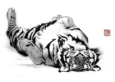 Sleepying Tiger