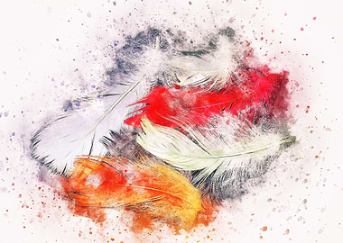 feathers watercolor