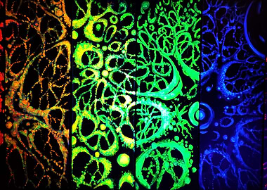 Structure of the universe