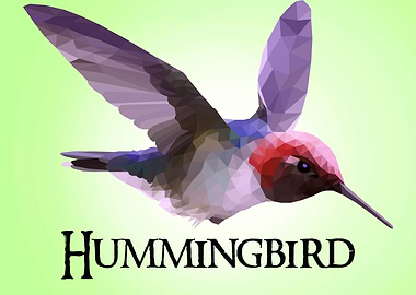 Hummingbird