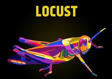 Locust insect illustration